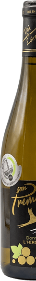 Verre de vin 1