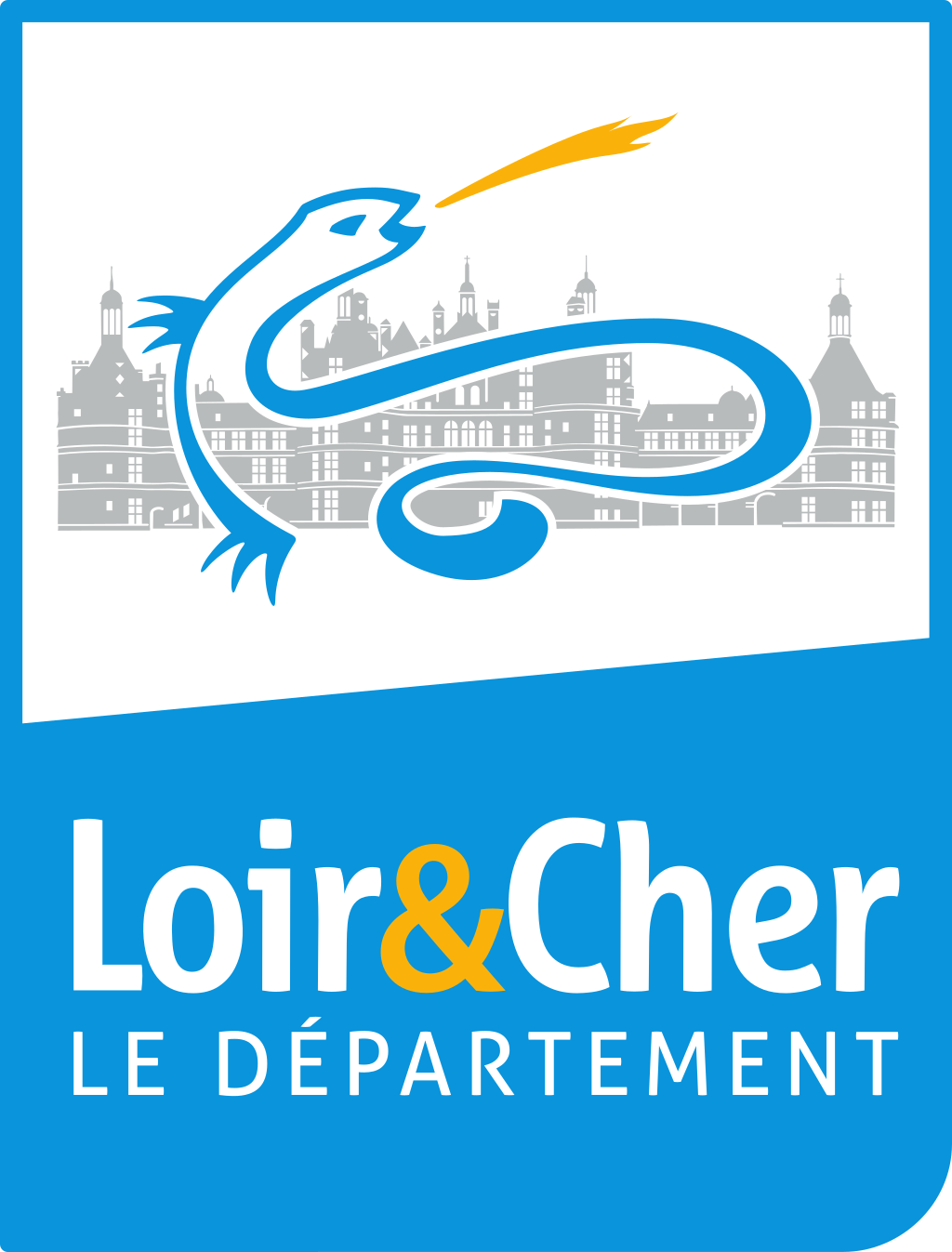 Conseil Departemental 41